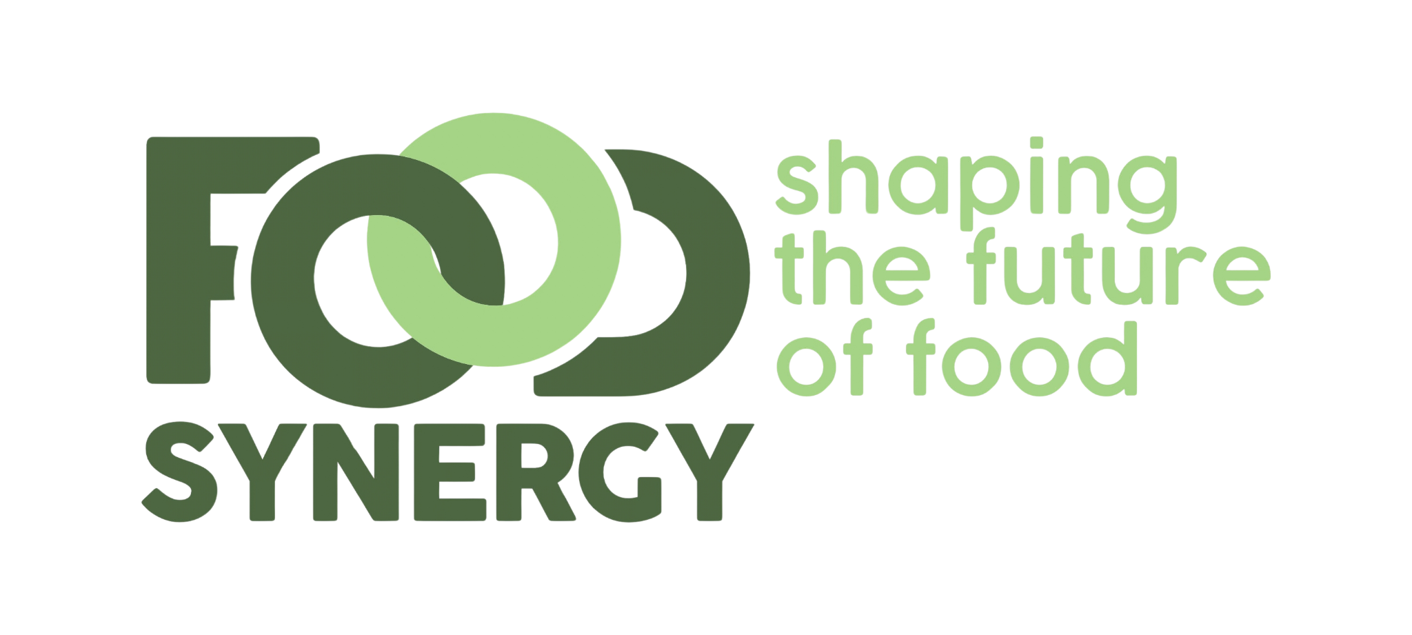 info@foodsynergy.it